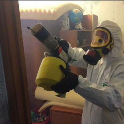 Уничтожение клопов в квартире. Загорянский